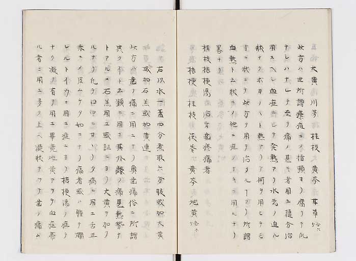 K0138s0019