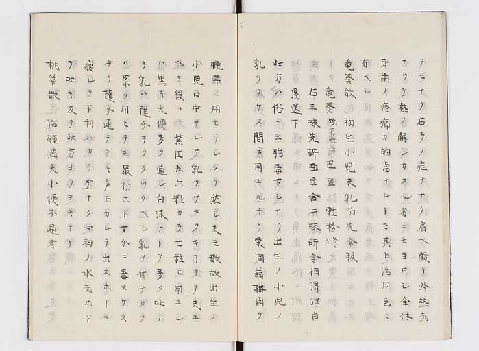 K0138s0020