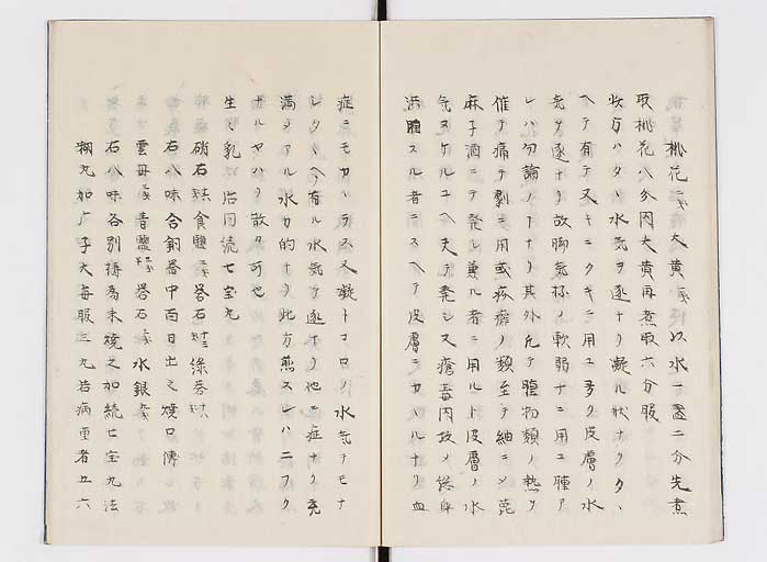 K0138s0021