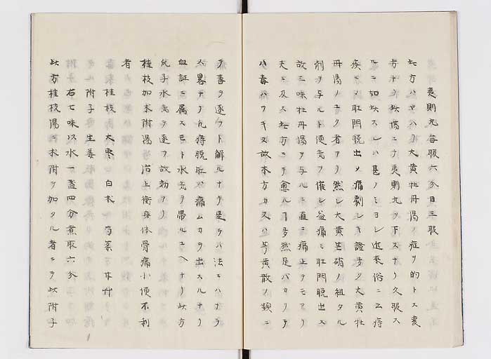 K0138s0026