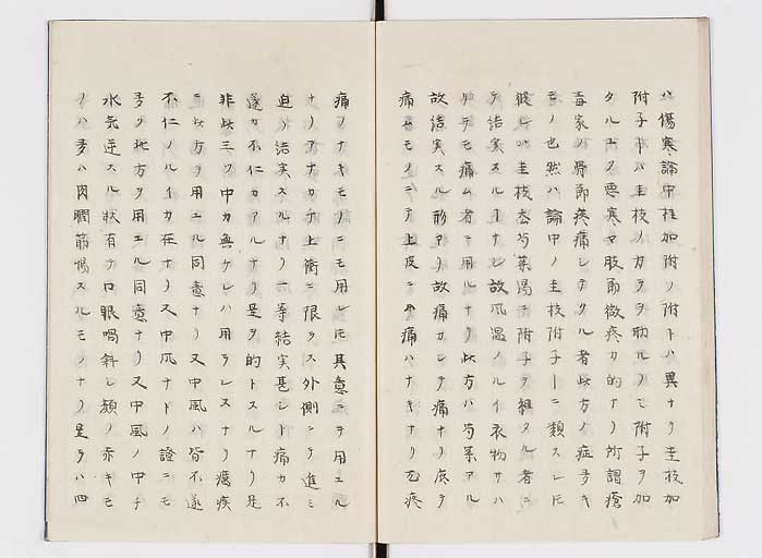 K0138s0027