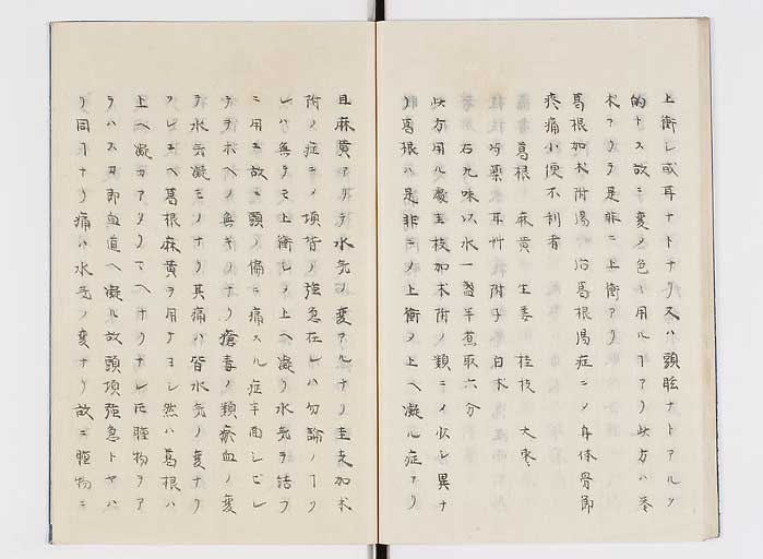 K0138s0029