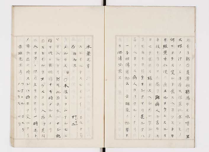 K0139s0004