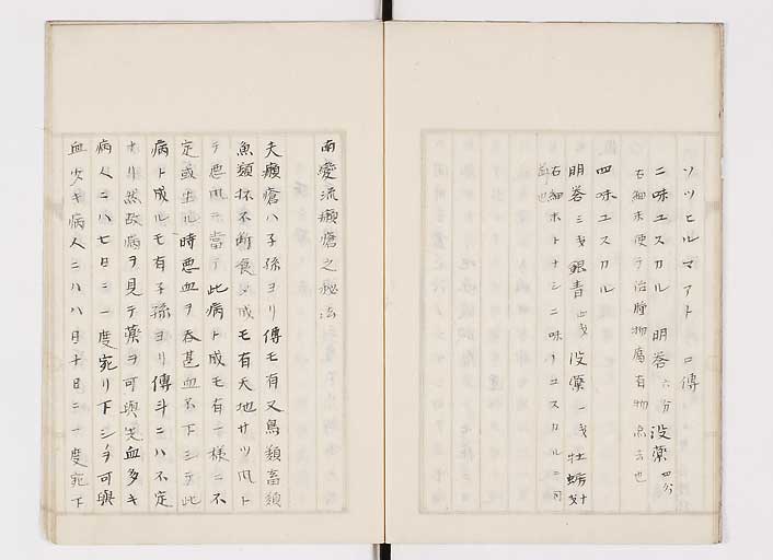 K0139s0009