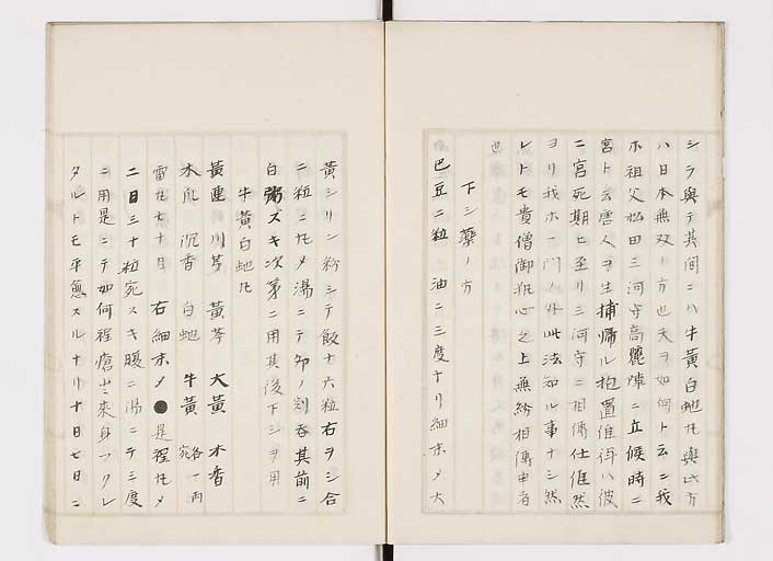 K0139s0010
