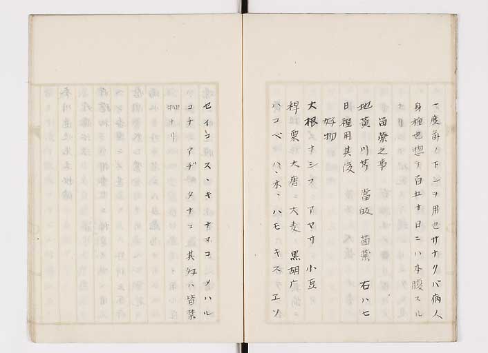 K0139s0011