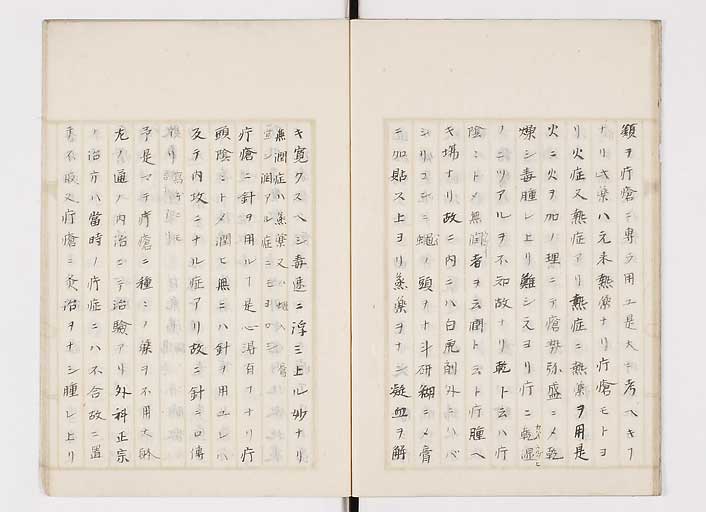 K0139s0013