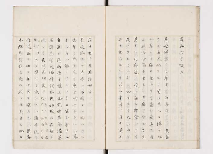 K0139s0016