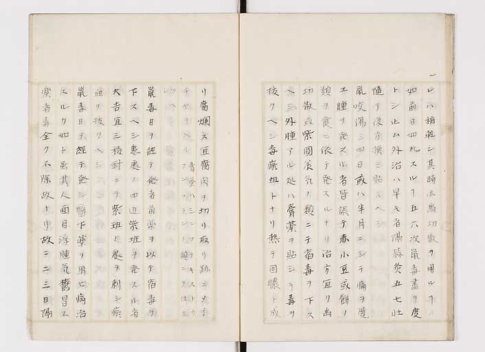 K0139s0017