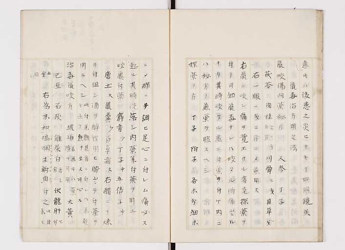 K0139s0019