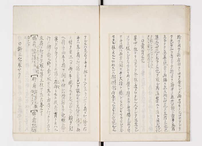 K0139s0024