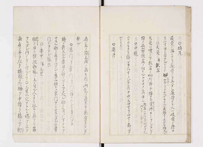 K0139s0026