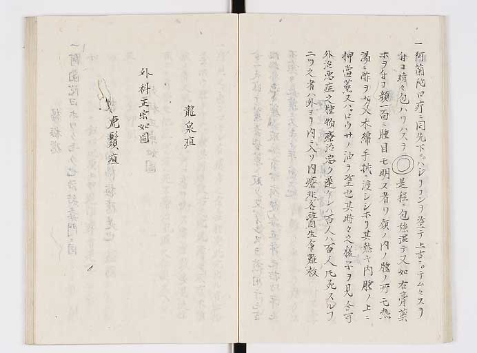 K0140s0029