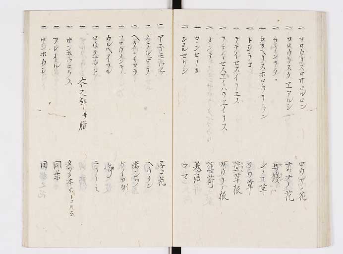 K0140s0051