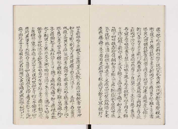 K0142s0006