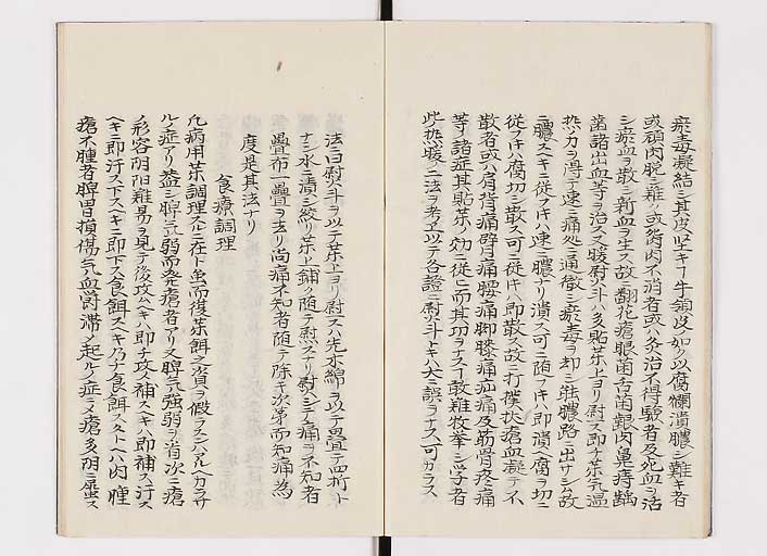 K0142s0013