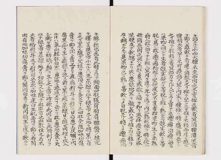 K0142s0024
