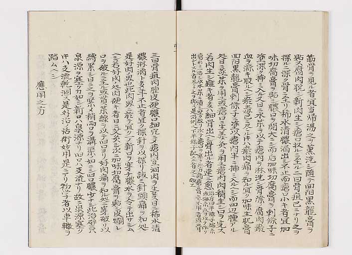 K0142s0032