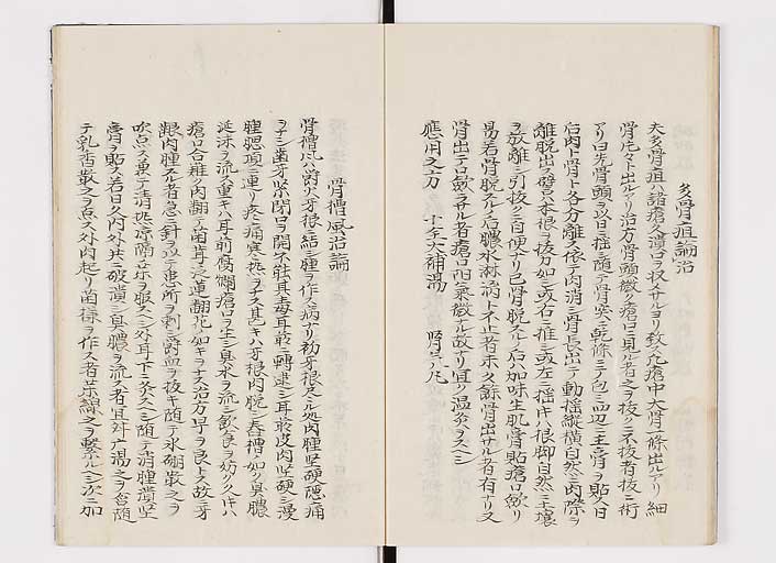 K0142s0061