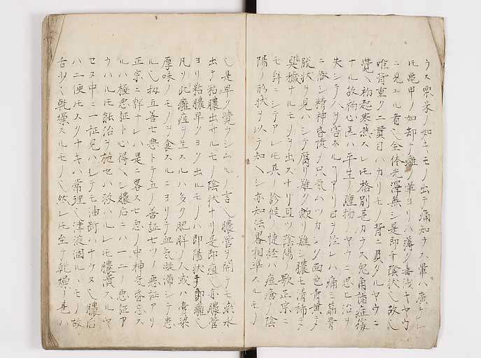 K0144s0005