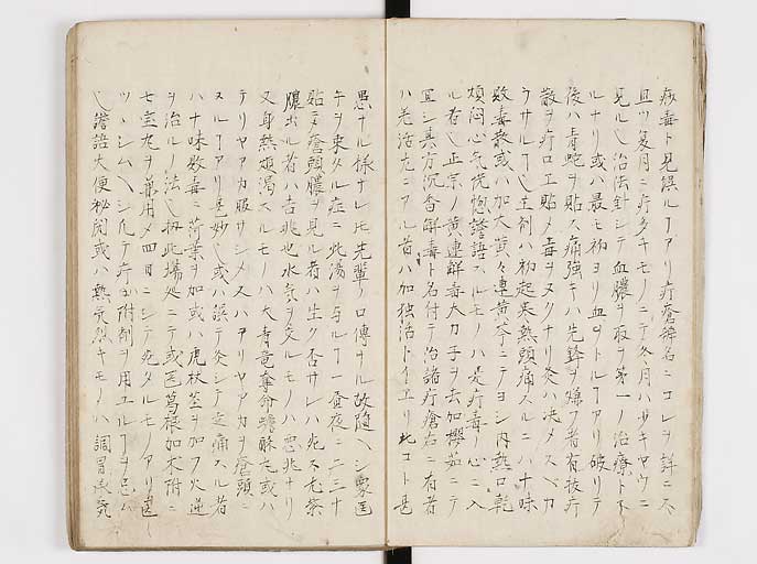 K0144s0014