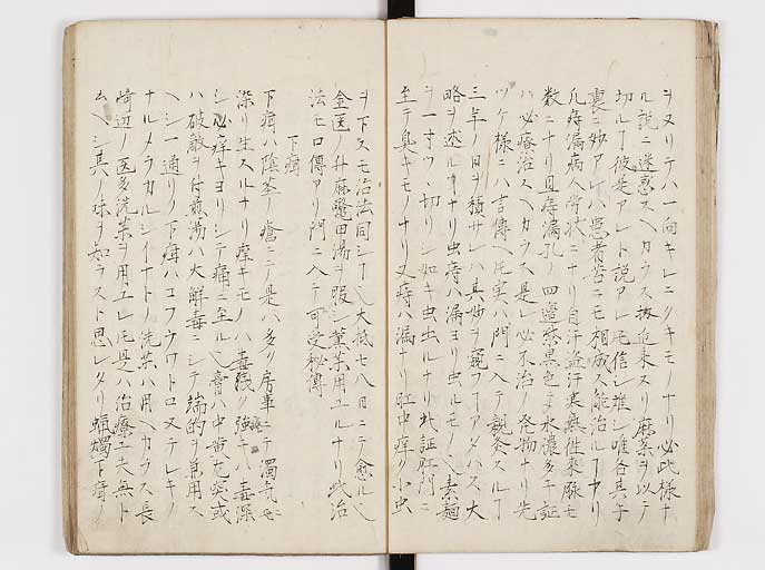 K0144s0028