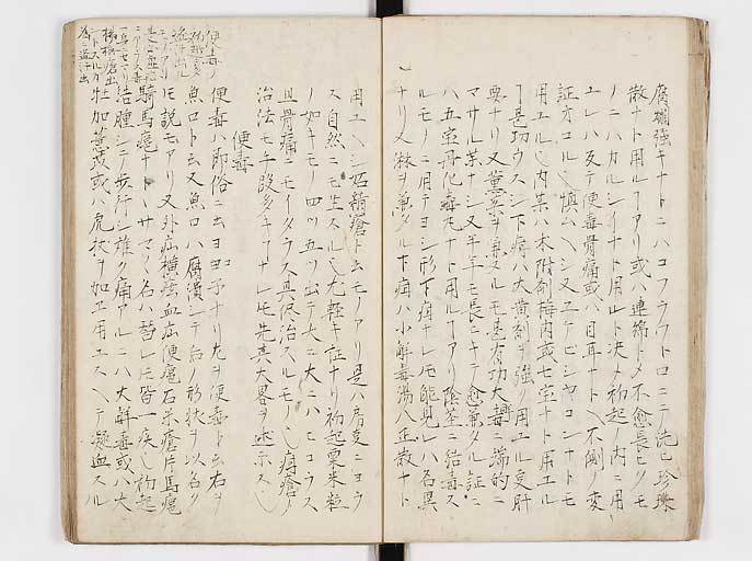 K0144s0029