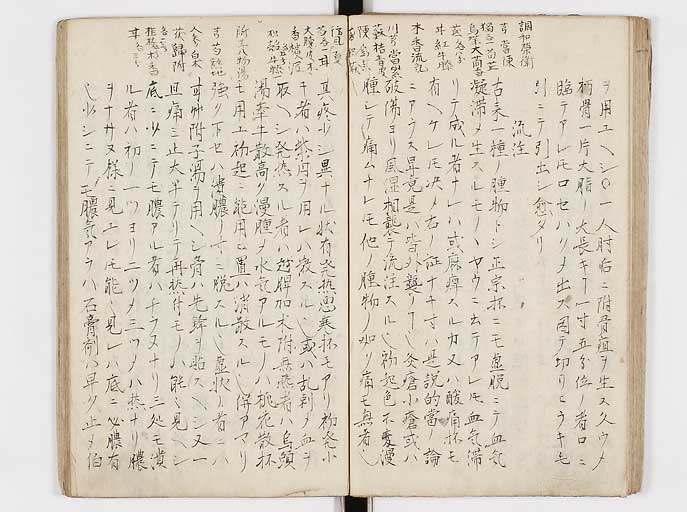 K0144s0043