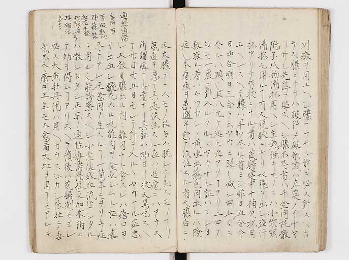 K0144s0044