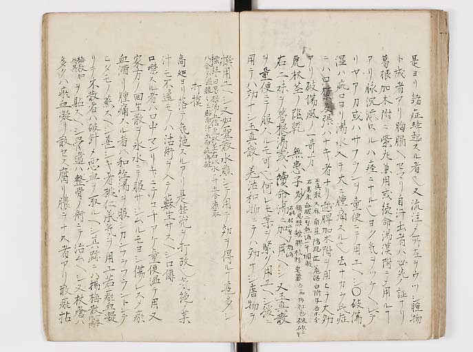 K0144s0061
