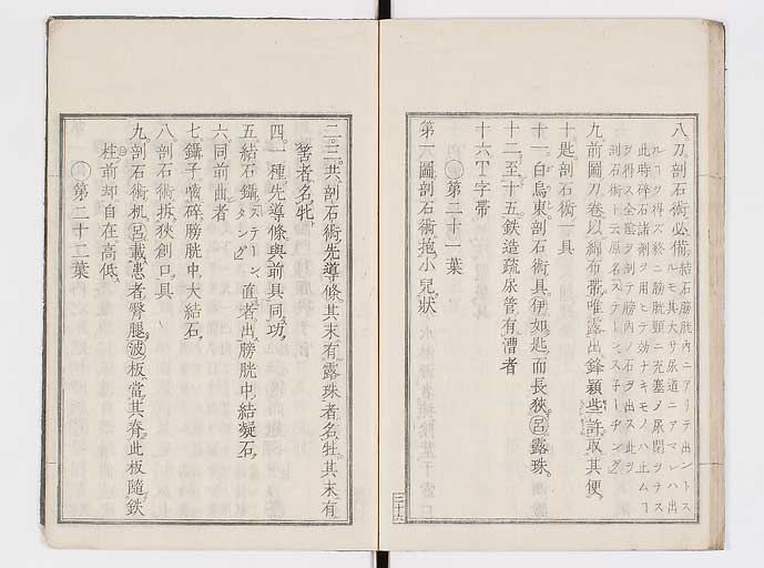 K0145s0069