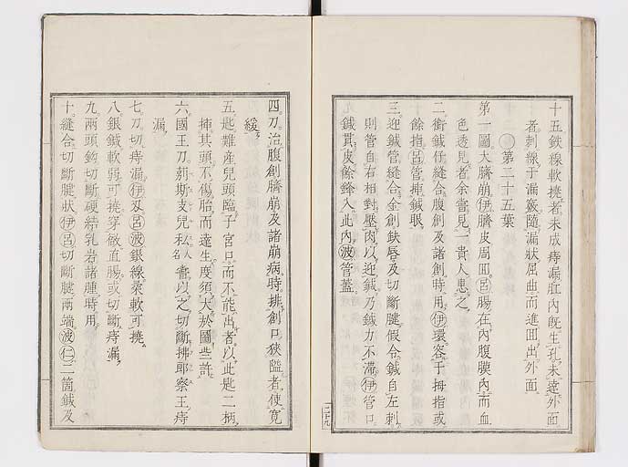 K0145s0073