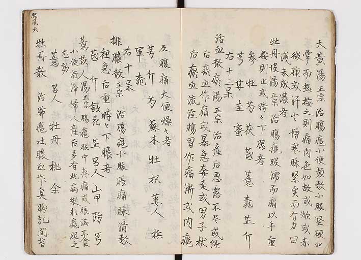 K0146s0008