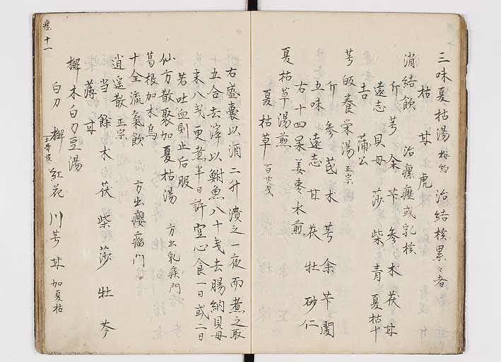 K0146s0013