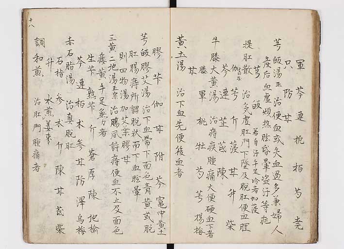 K0146s0020