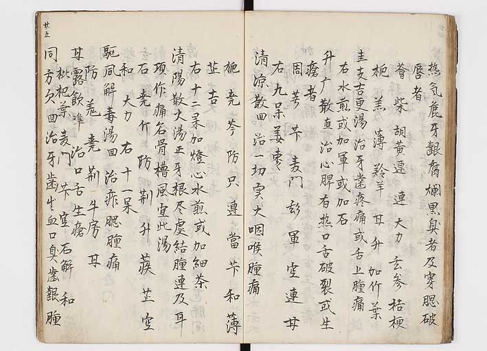 K0146s0027