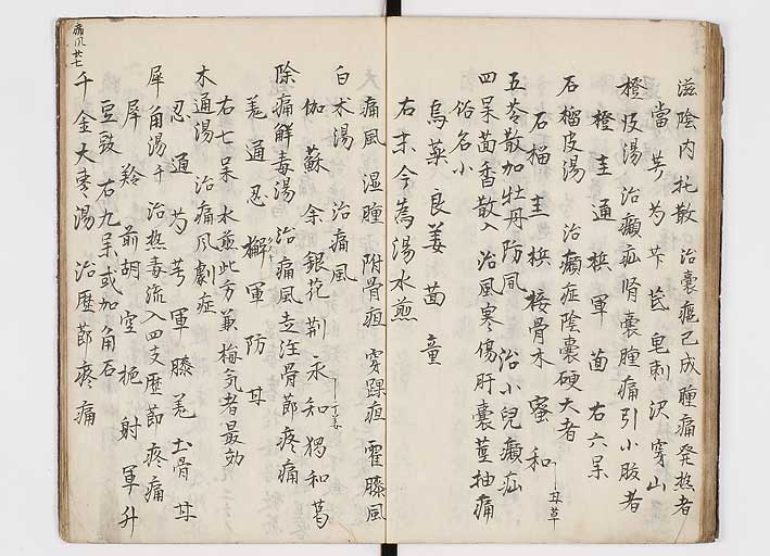 K0146s0029