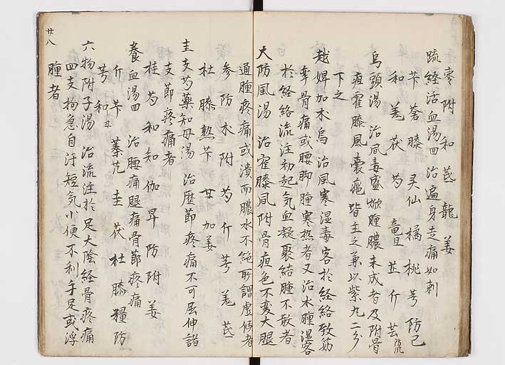 K0146s0030