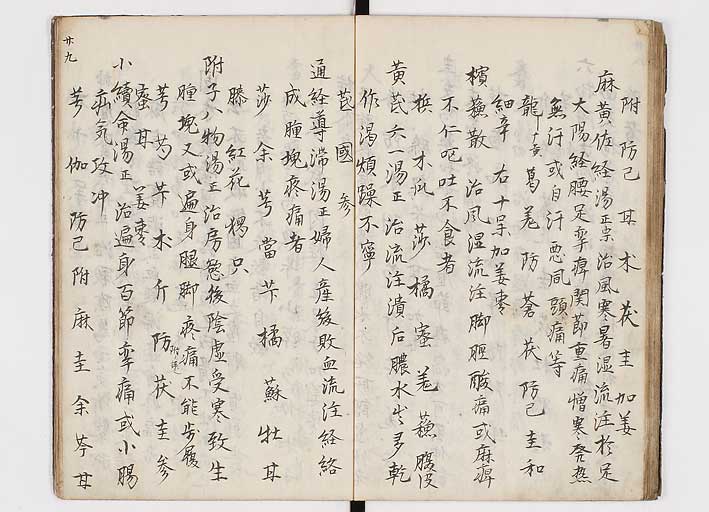 K0146s0031