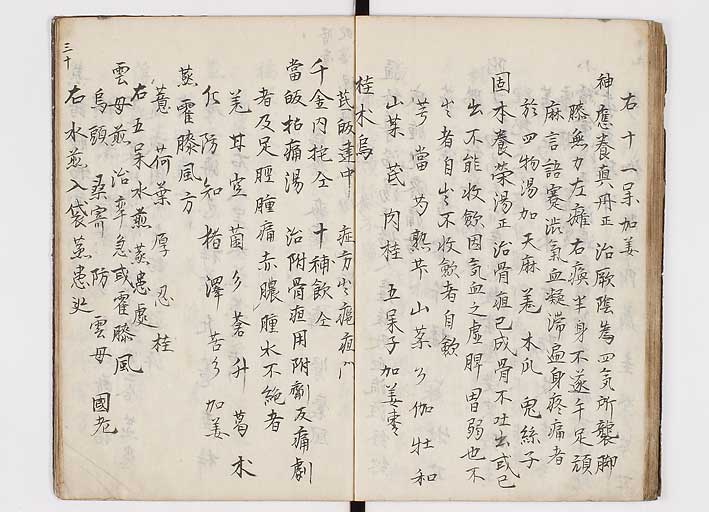 K0146s0032
