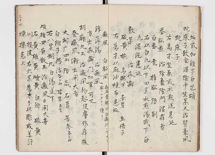 K0146s0036