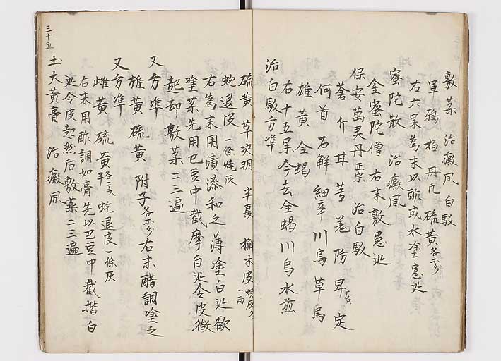 K0146s0037
