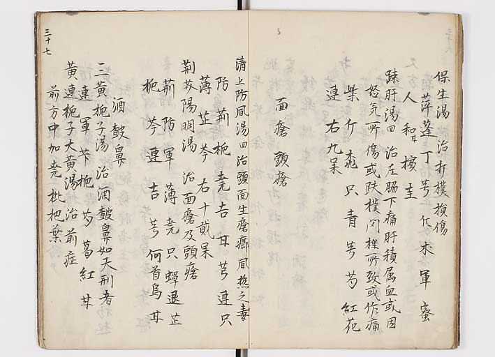 K0146s0039