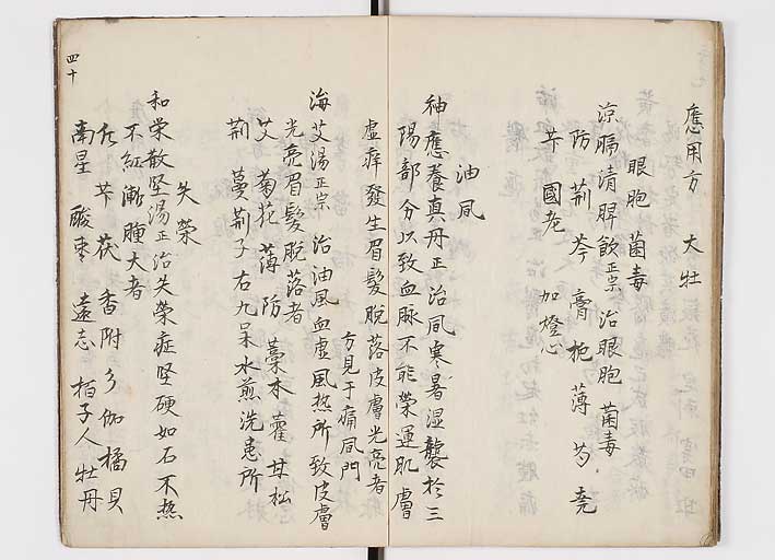 K0146s0042