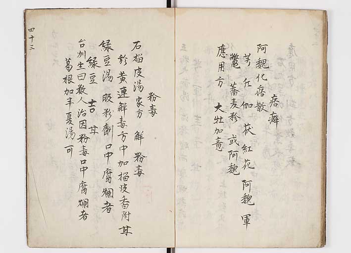 K0146s0045