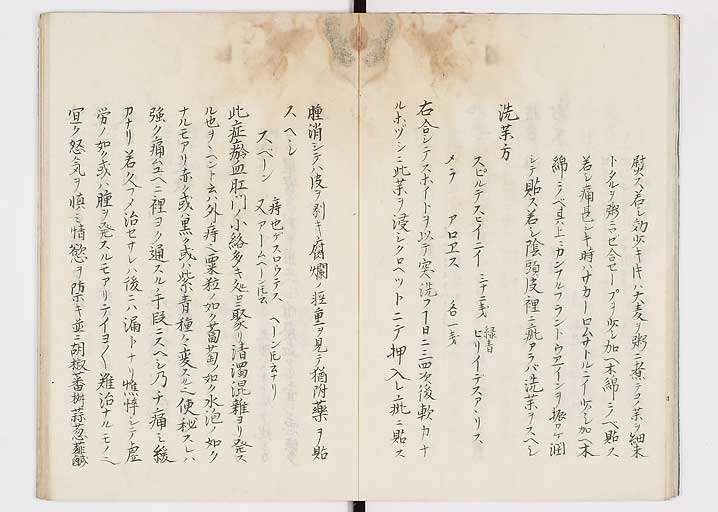 K0149s0013
