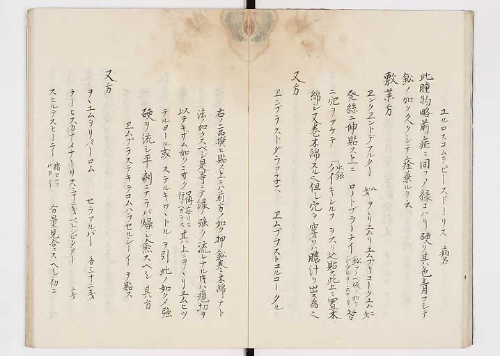K0149s0017