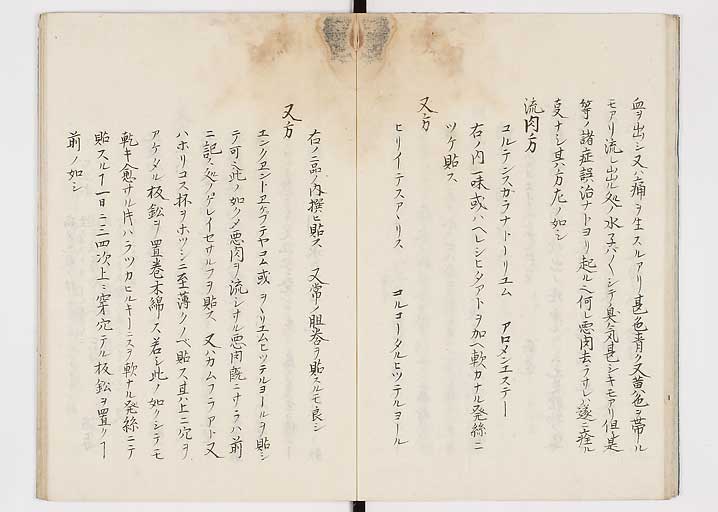 K0149s0019