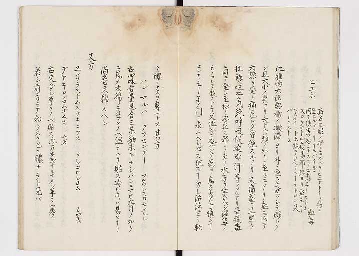 K0149s0020