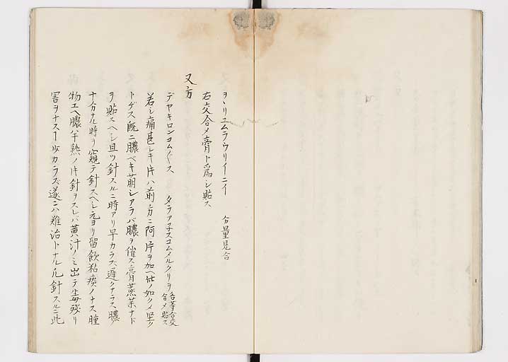 K0149s0024